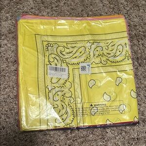 Variety Color Paisley Bandana